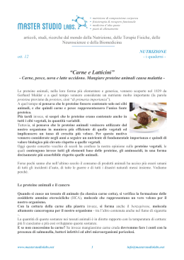 CARNE E LATTICINI - Masterstudiolabs.net