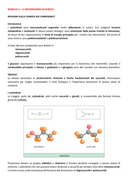MODULO 3 &ndash; IL METABOLISMO GLUCIDICO