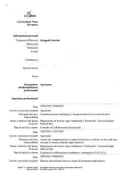 Curriculum Strippoli Gabriele