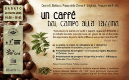 Un caffè. Dal campo alla tazzina