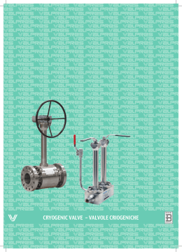 CRYOGENIC VALVE - VALVOLE CRIOGENICHE