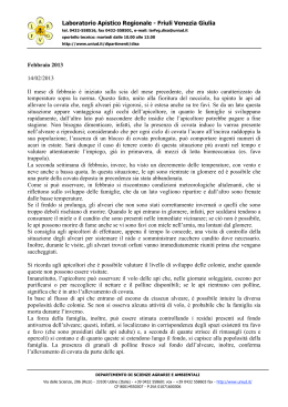 Rapporti 2013 - Università degli Studi di Udine