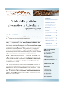 Guida alle Pratiche Alternative in Apicoltura - Api Regine