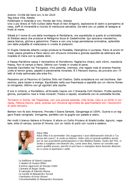 articolo su CALU` Grillo