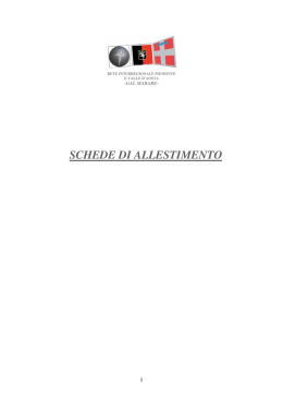 Schede di allestimento dei galenici per malattie