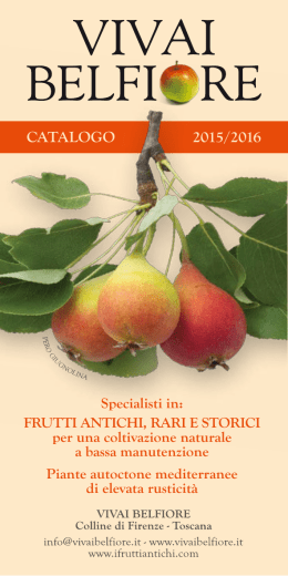 CATALOGO 2015/2016