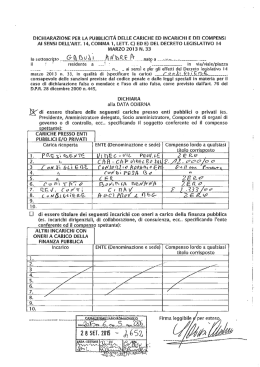 DICHIARAZIONE PER LA PUBBLICITA DELLE CARICHE ED