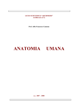 ANATOMIA UMANA