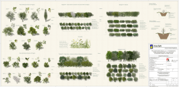 Abaco delle Specie Arboree di Progetto Tipologia N I