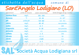 Sant`Angelo Lodigiano (LO)