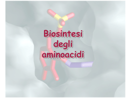 Biosintesiaa