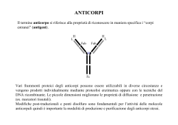 Anticorpo monoclonale