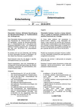 Entscheidung Determinazione