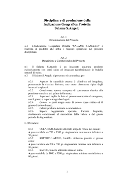 PDF: salame s angelo - Ministero delle Politiche Agricole e Forestali
