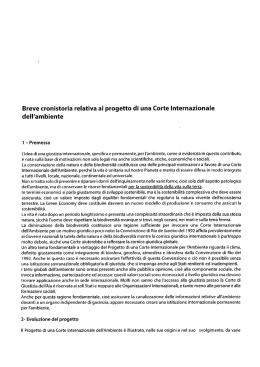 Corte internazionale dell `ambiente