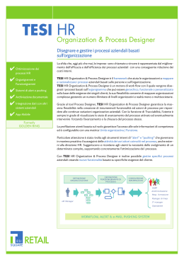 HR - Organization and Process Designer