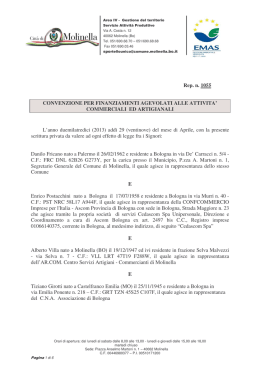 File PDF | Dimensioni: 169Kb