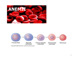 Lezione 6: anemie e aplasie - UnitÃ Funzionale di Ematologia