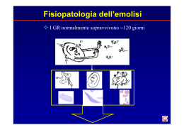anemia emolitica - Ematologia Brescia