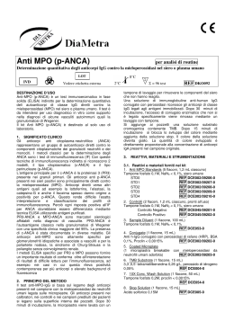 Anti MPO (p-ANCA)