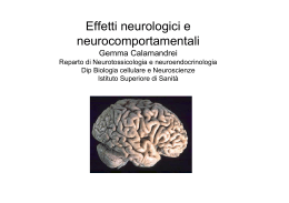 Mechanisms of brain injury by radiation /animal models