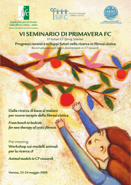 Brochure VI Seminario Primavera - Fondazione per la Ricerca sulla