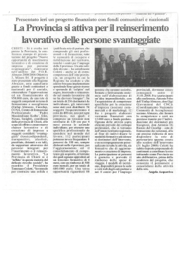 apri il pdf - Insight & Co. srl