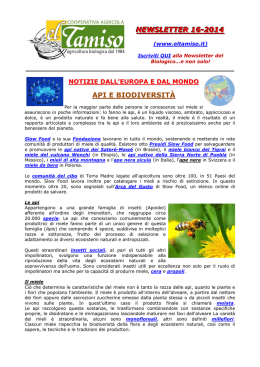 NEWSLETTER 16-2014 API E BIODIVERSIT&Agrave;