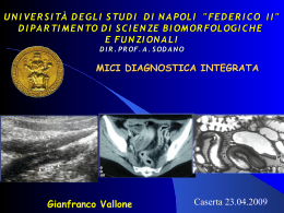 Gianfranco Vallone pdf