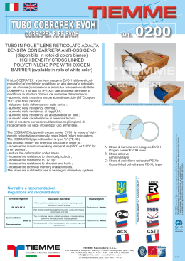 0200_IT-EN Mod F (scheda tecnica).cdr