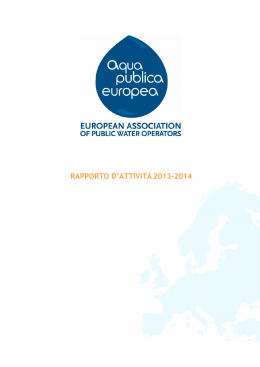 Rapporto d`Attività 2013-2014