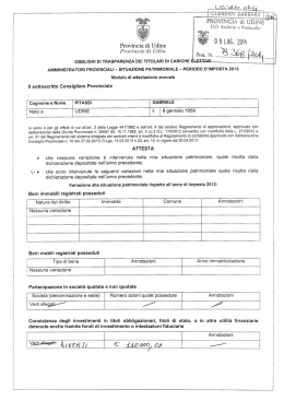 Situazione patrimoniale - 2013