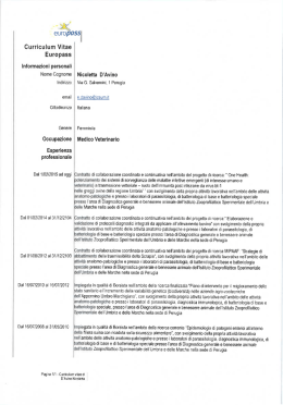 curriculum vitae docente nicoletta d`avino