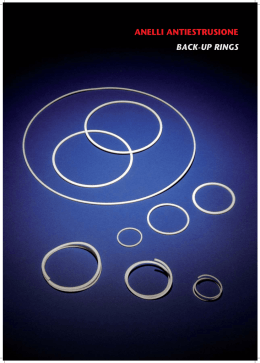 Scarica catalogo antiestrusione in pdf
