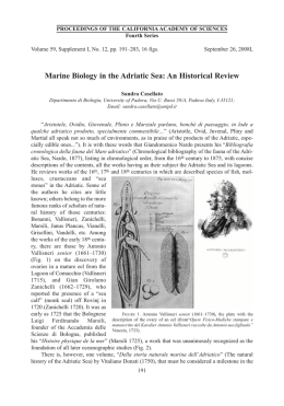 Marine Biology in the Adriatic Sea: An Historical Review