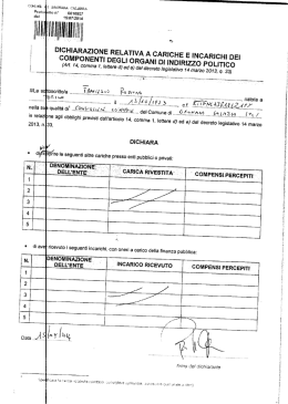 ililliiiiimflll I DICHIARAZIONE RELATIVA A CARICHE E INCARICHI