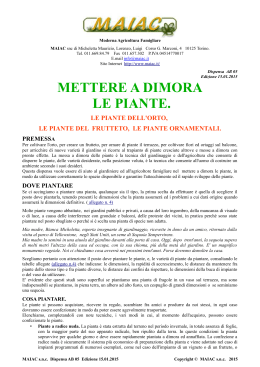 METTERE A DIMORA LE PIANTE.