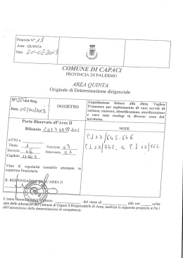 AREA 5^ Determina Dirigenziale n. 225/2013
