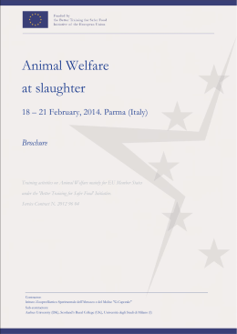 Animal Welfare at slaughter