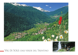 Val di Sole: oasi verde del Trentino