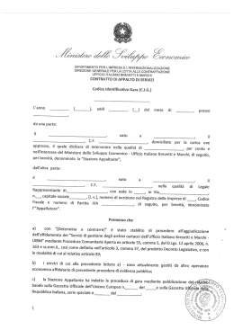 DEPARTlMENTO PER L`lMPRESA E L`INTERNAZlONAUZZAZlONE