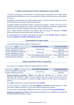 Terziario, Distribuzione e Servizi