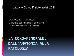 La coxo-femorale: dall`anatomia alla patologia