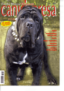 Scarica il PDF - Italian Boxer Club