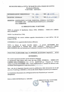 determina dirigenziale 370 del 2015