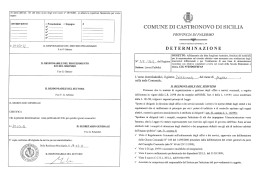 Determina n. 217 - Comune di Castronovo di Sicilia