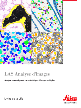 LAS Analyse d`images