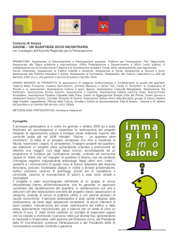 sintesi finale SAIONE illustrata