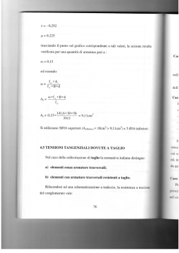 Documento su Taglio NTC 2008