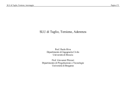 SLU di Taglio, Torsione, Aderenza